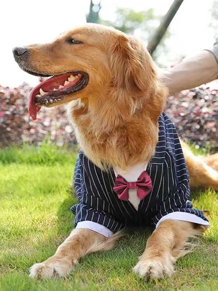 Wedding Suit For Him