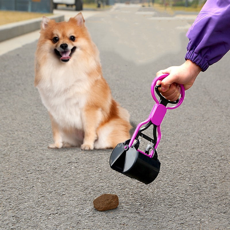 Pet Poop Picking Up