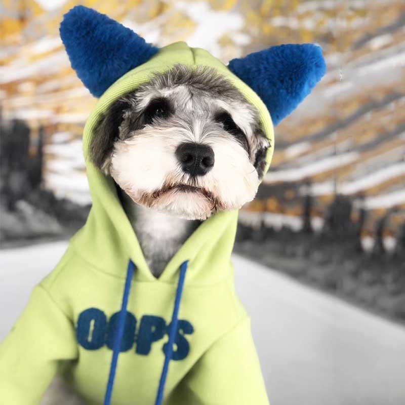 Winter Pet Sweater