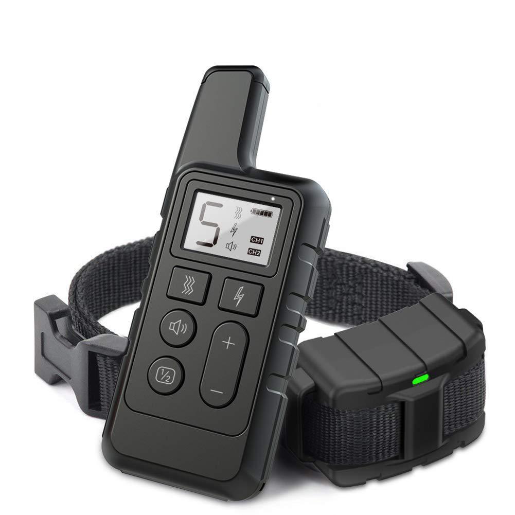 Device for dog training