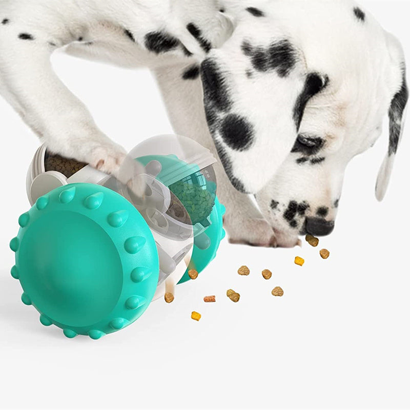 Pet Balance Car Toy – Play & Slow Feeding in One