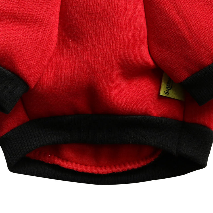 Treats and Chill pet sweater