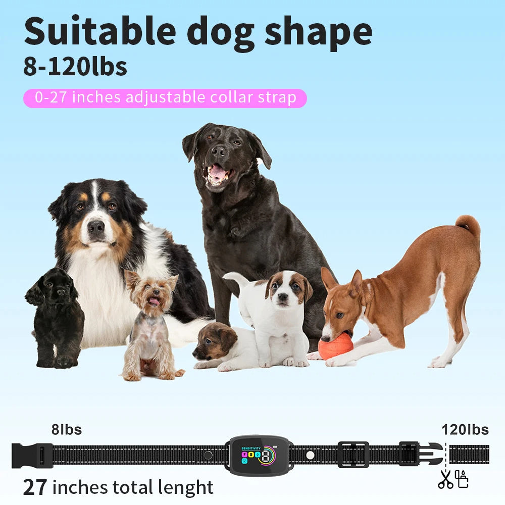 Smart Device for dog training