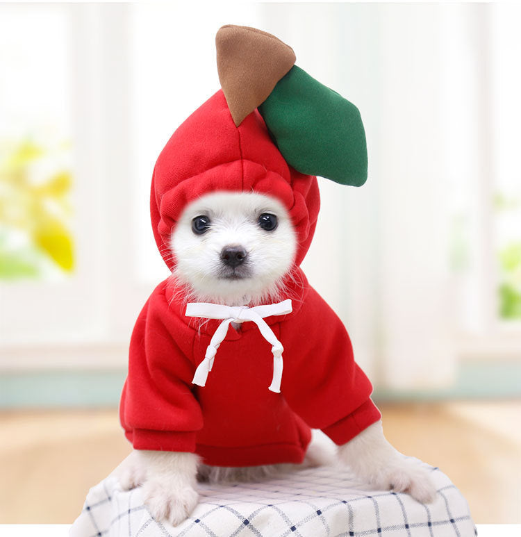 Winter Pet Sweater
